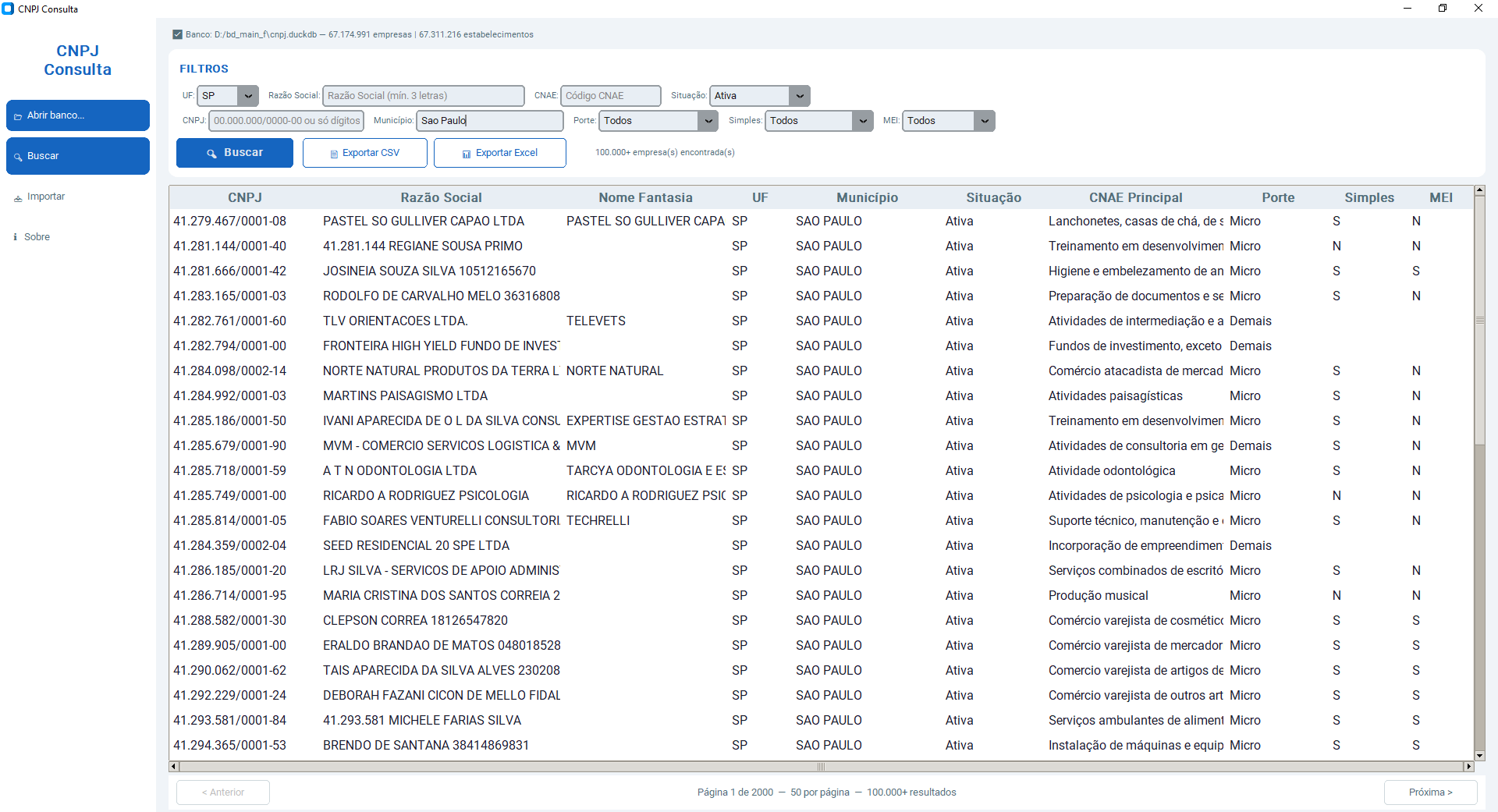 Interface do sistema NasferTI Consulta CNPJ